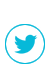 icono twitter